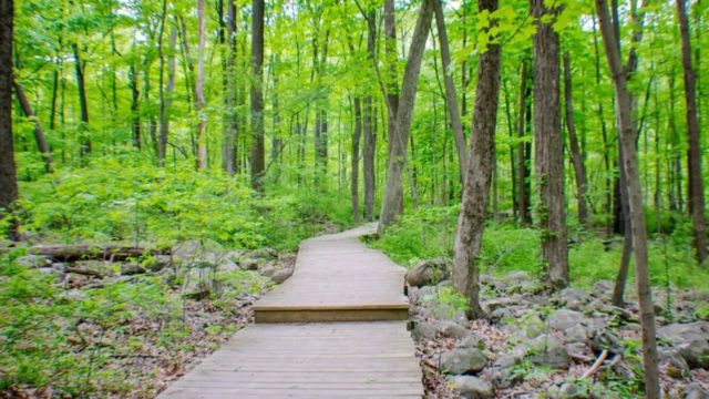 5 Things to Know Before Hiking Sourland Mountain Preserve