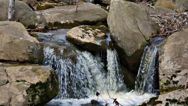 5 Things to Know Before Hiking Sourland Mountain Preserve