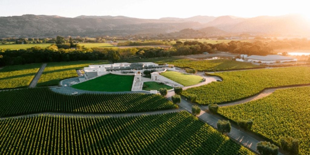 The Top and Finest Wineries in Napa Valley to Visit in 2024